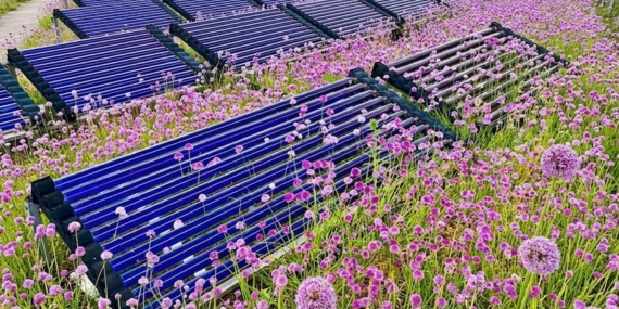 Çatı Tipi Güneş Santrallerinde Agrivoltaik Safran Üretimi ile Çift Yönlü Gelir Modeli