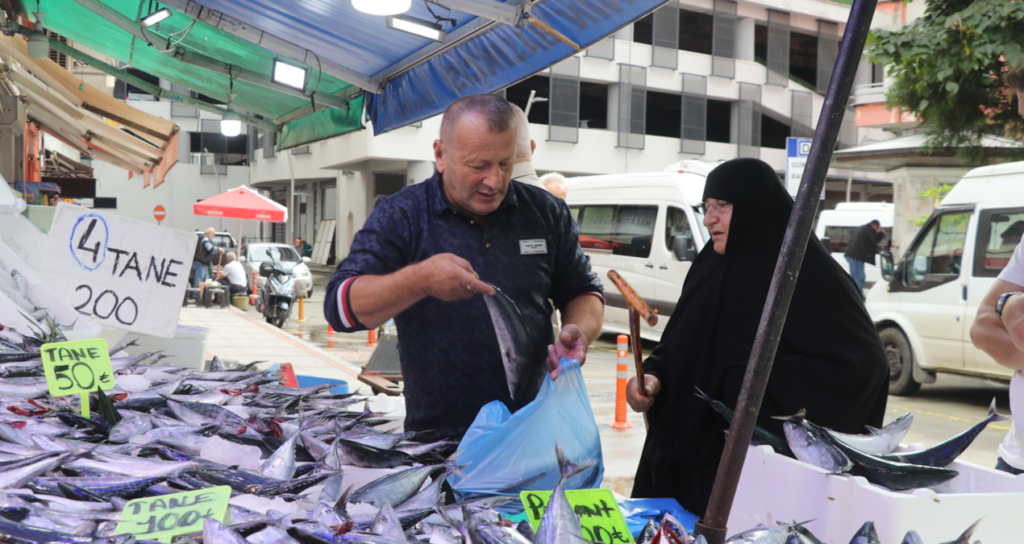Rize'de Karadeniz Palamudunun Tane Fiyatı 50 ile 100 Lira Arasında Değişiyor