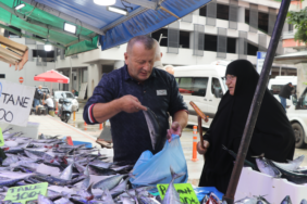 Rize'de Karadeniz Palamudunun Tane Fiyatı 50 ile 100 Lira Arasında Değişiyor
